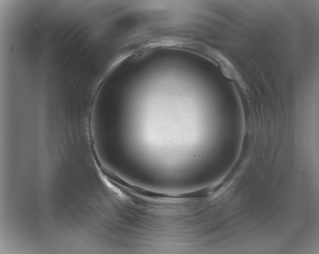 X0000071801433200606301149