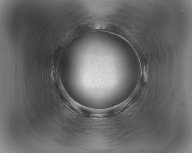 X0000071801443200606301149