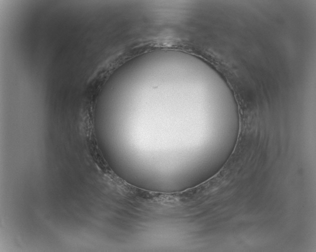 X0000071801446200606301149