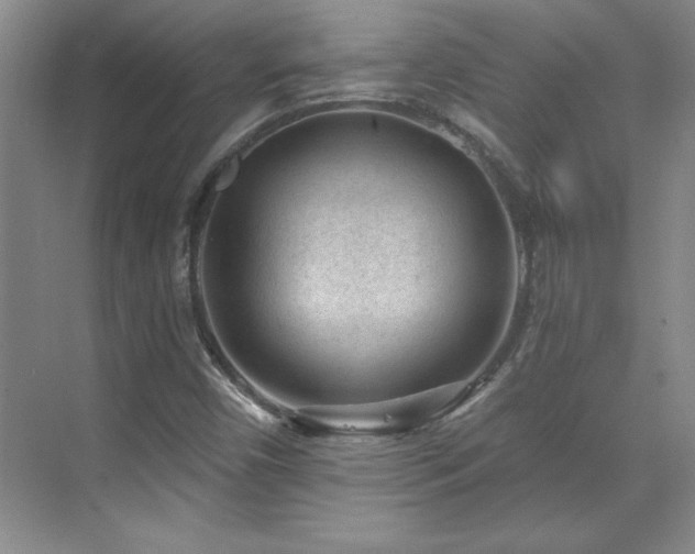 X0000071801450200606301149