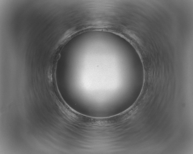 X0000071801451200606301149