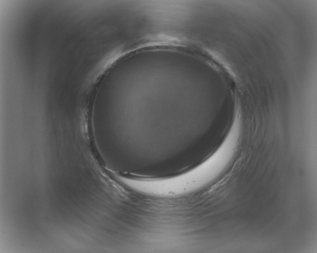 X0000071801455200606301148