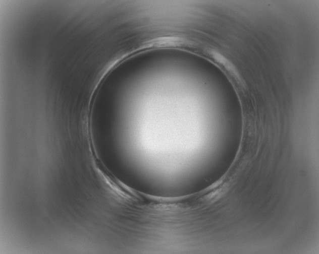 X0000071801473200606301148