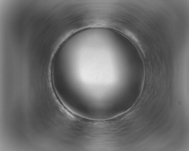 X0000071801480200606301148
