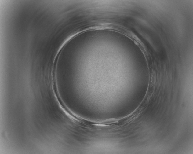X0000071801487200606301148