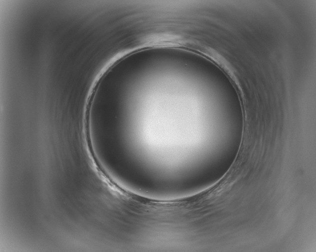 X0000071801488200606301148