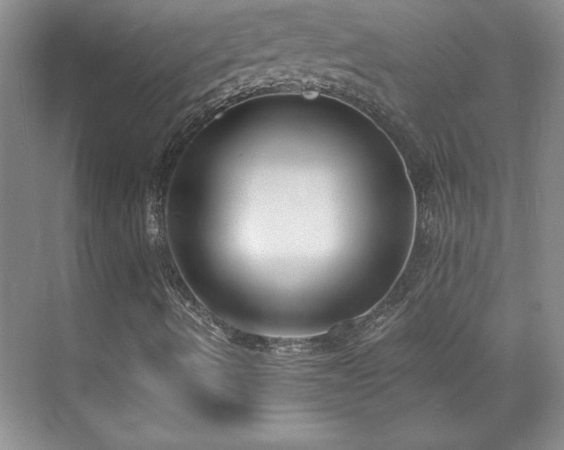 X0000071801490200606301147