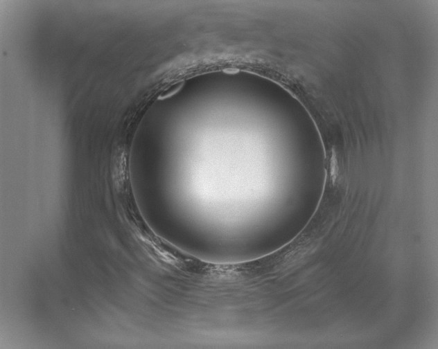 X0000071801492200606301147