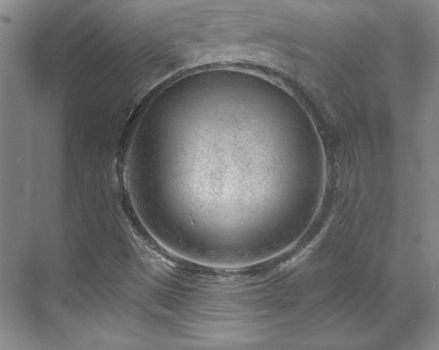 X0000071801497200606301147