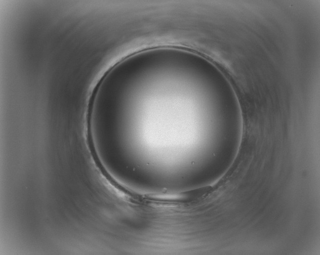 X0000071801512200606301147