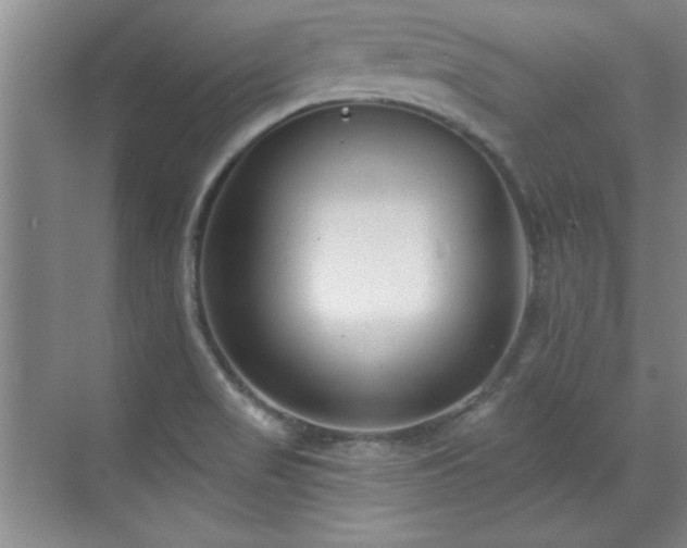 X0000071801517200606301148