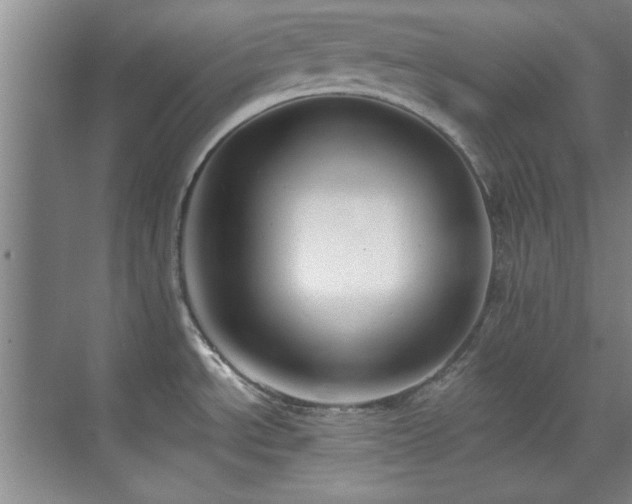 X0000071801534200606301148