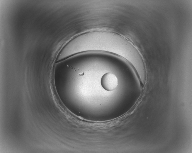 X0000071800001200607072103