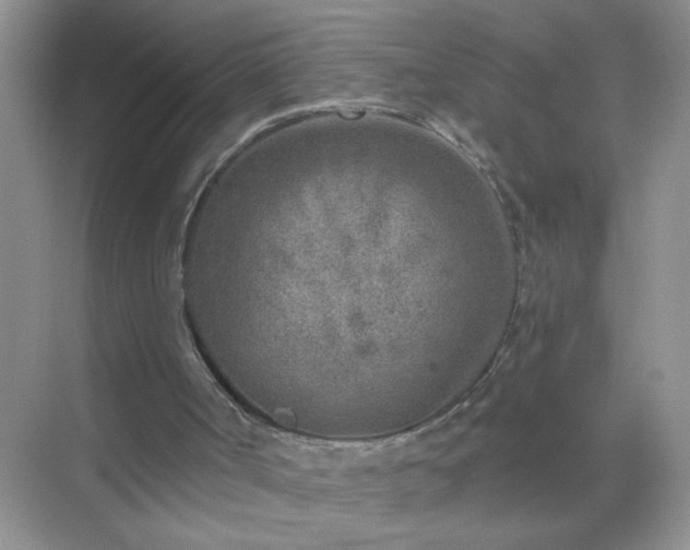 X0000071800002200607072103