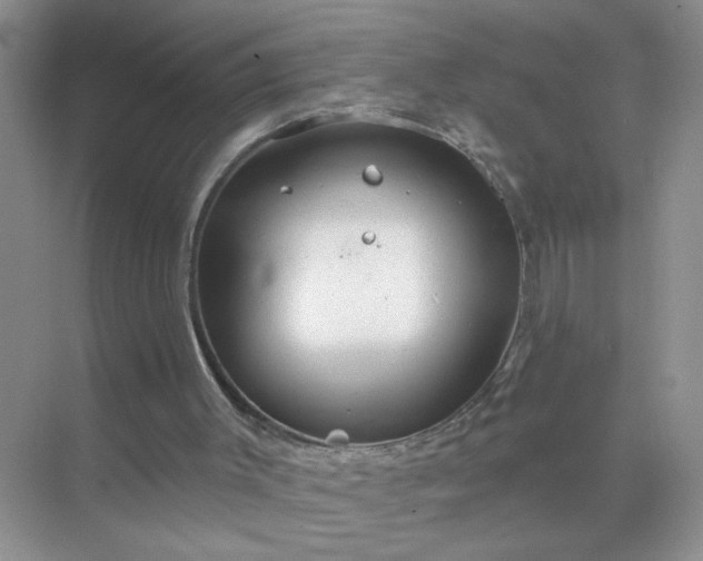 X0000071800003200607072103