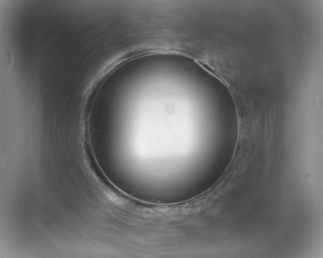 X0000071800005200607072103