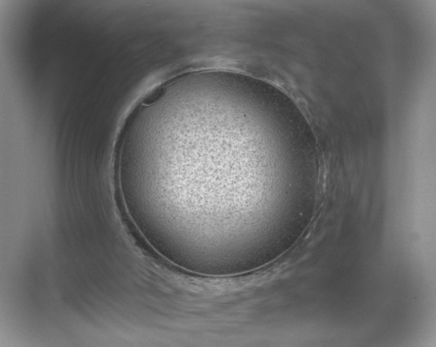 X0000071800006200607072103