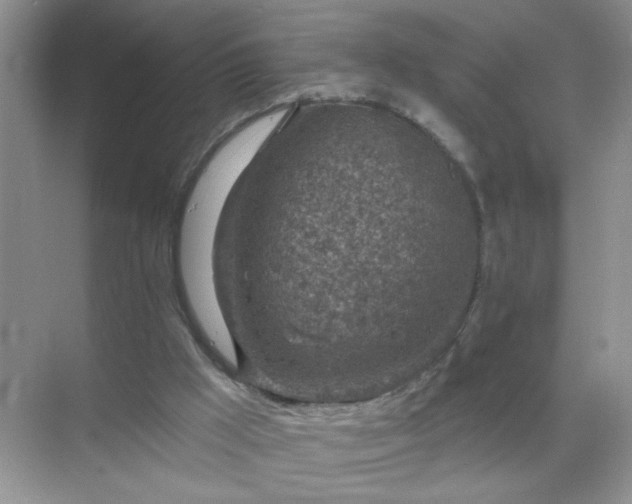 X0000071800009200607072103