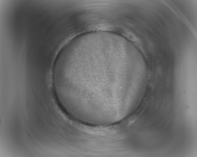 X0000071800012200607072103