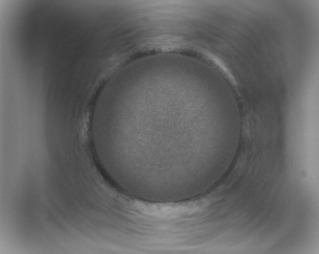 X0000071800018200607072103