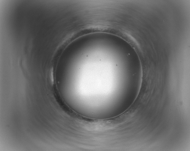 X0000071800020200607072103