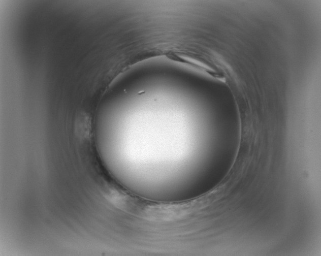 X0000071800025200607072103