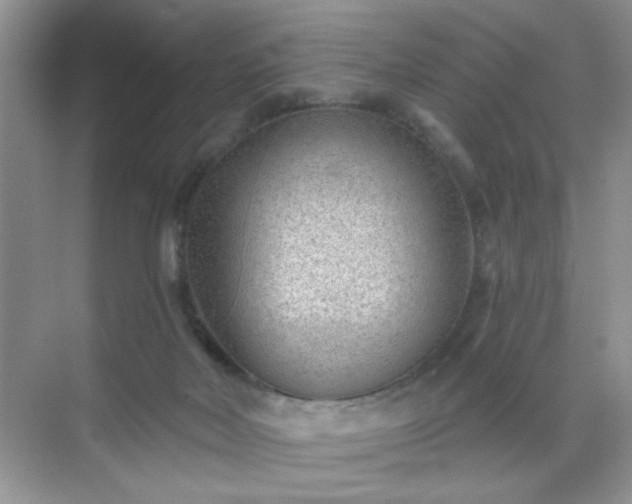 X0000071800026200607072103