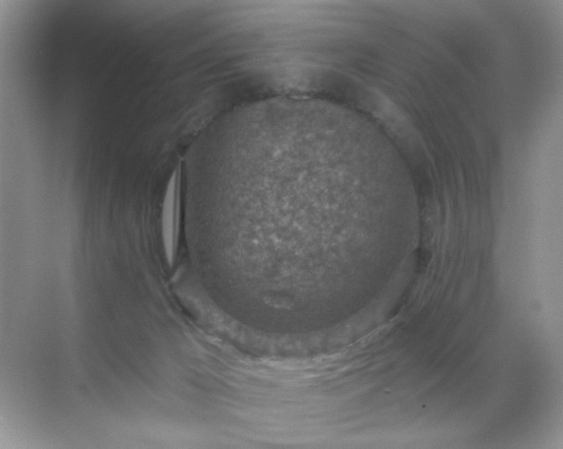 X0000071800029200607072103