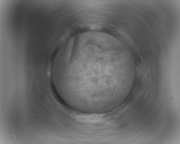 X0000071800032200607072103