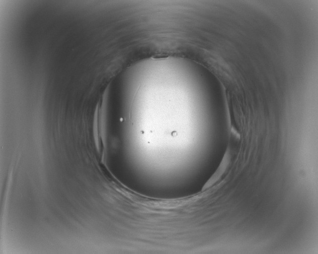 X0000071800033200607072103