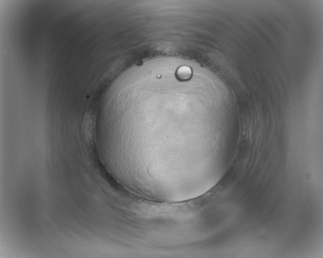 X0000071800036200607072103