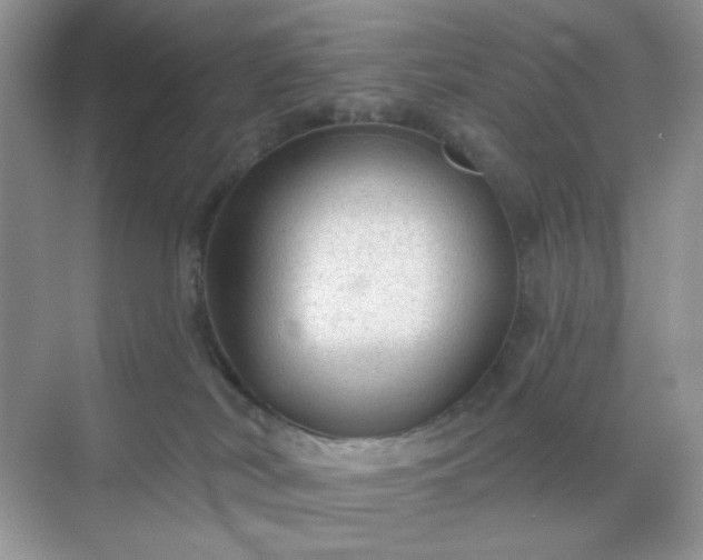 X0000071800038200607072103