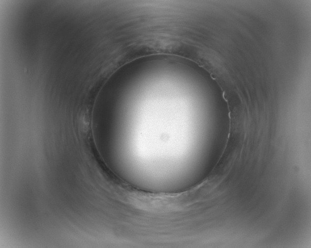 X0000071800040200607072103