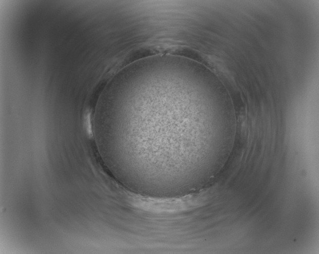 X0000071800042200607072103