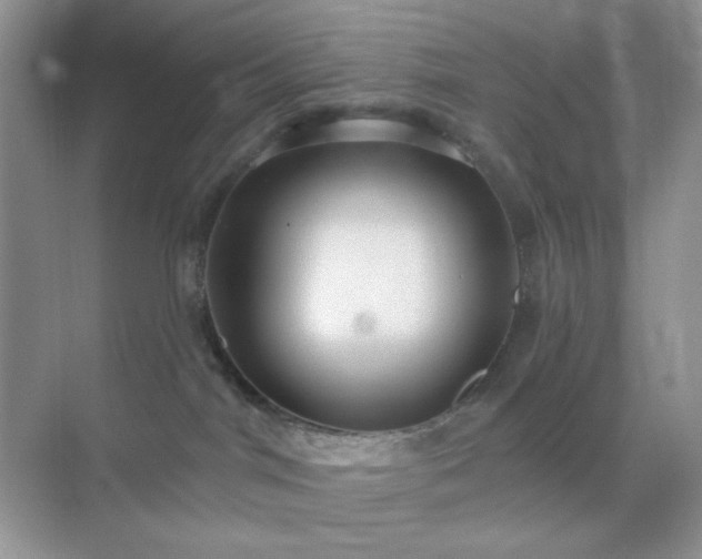 X0000071800044200607072103