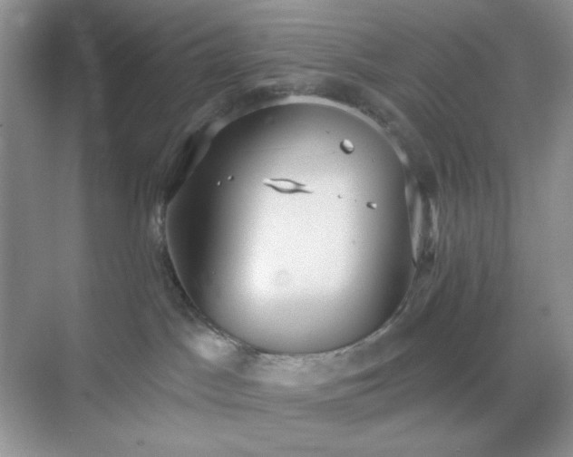 X0000071800045200607072103