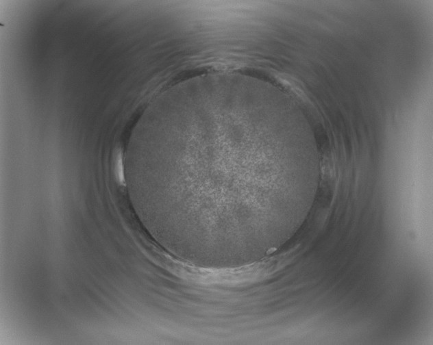 X0000071800046200607072103