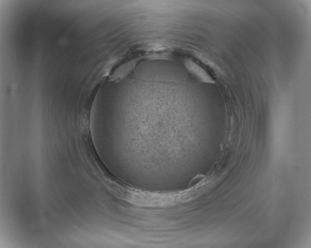 X0000071800048200607072103