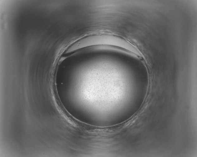 X0000071800049200607072102