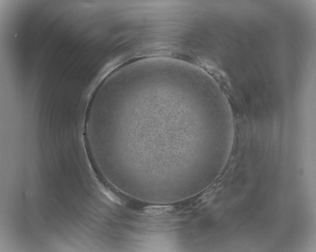 X0000071800051200607072102