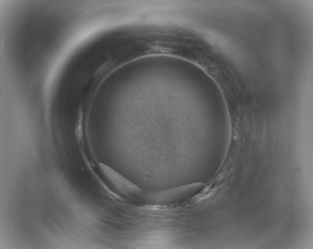 X0000071800052200607072102