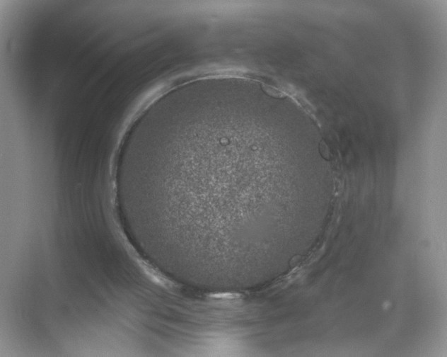 X0000071800053200607072102