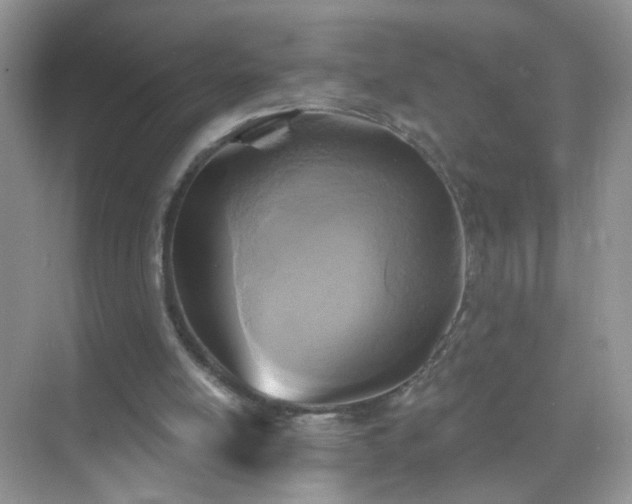 X0000071800054200607072102