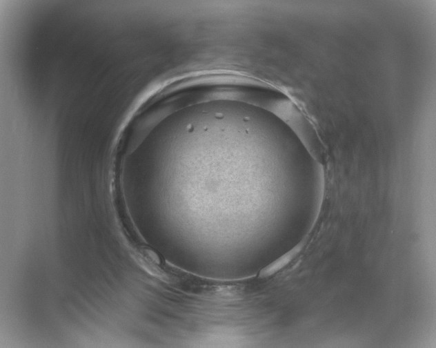 X0000071800056200607072102