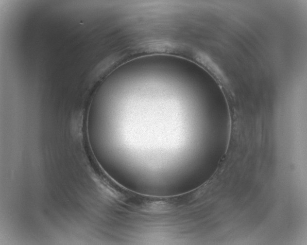 X0000071800058200607072102