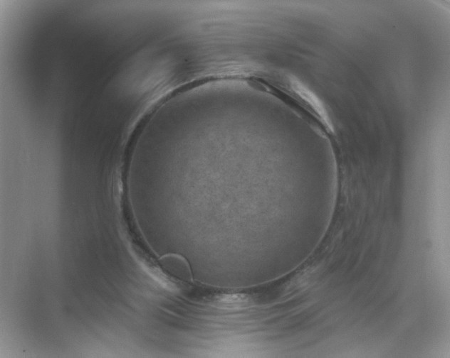 X0000071800059200607072102