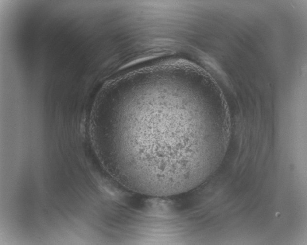 X0000071800073200607072102