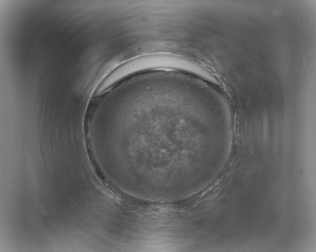 X0000071800099200607072102