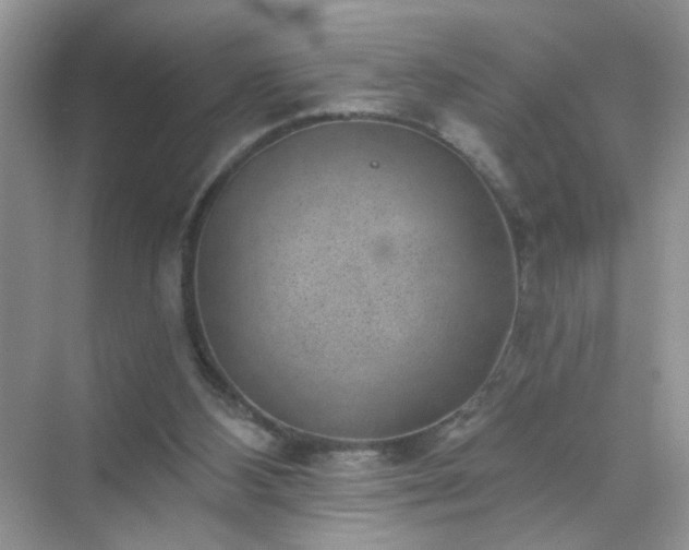 X0000071800108200607072102