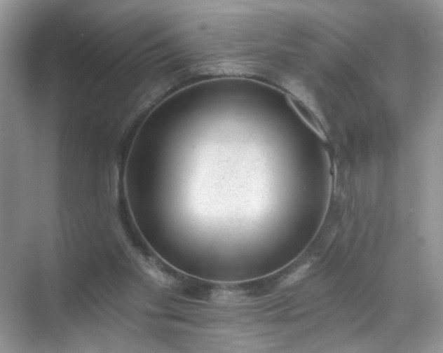 X0000071800109200607072102